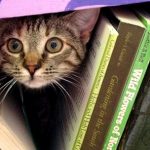 Looking for books by Ann Arbor Authors